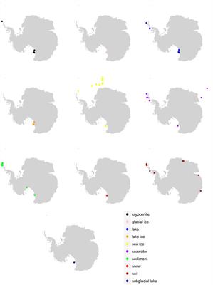 Identification of Microbial Dark Matter in Antarctic Environments